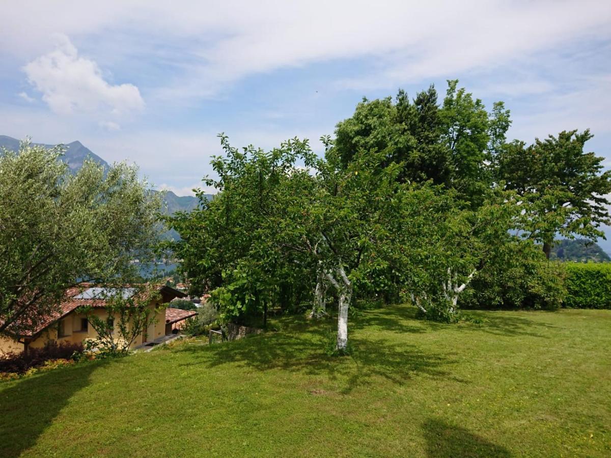 Villa Primula Bellagio Exteriér fotografie